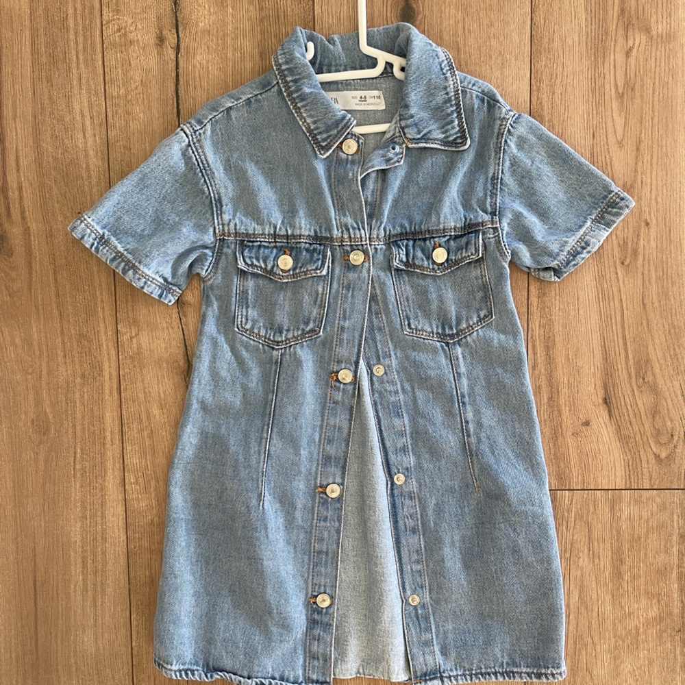 Zara Denim Dress